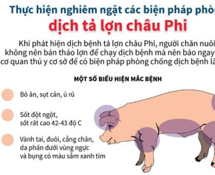 benh-dich-ta-lon-la-gi
