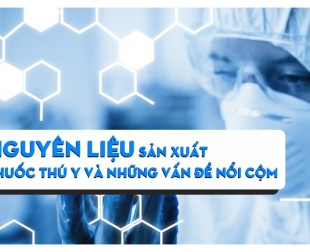 nguyen-lieu-san-xuat-thuoc-thu-y-va-nhung-van-de-noi-com
