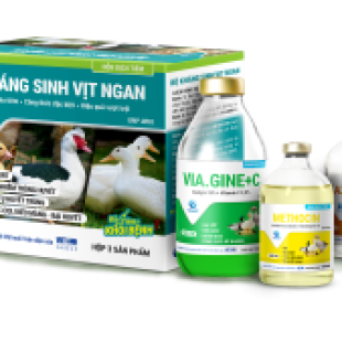 bo-khang-sinh-vit-ngan-3-san-pham