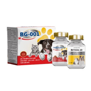 bg-001