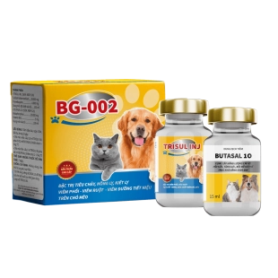 bg-002