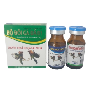 bo-doi-ga-da-01
