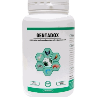 gentadox