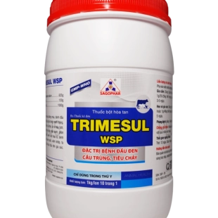 trimesul-wsp-plus-trimesul-wsp-plus